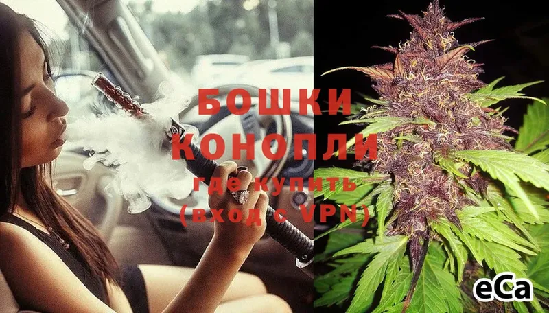 даркнет телеграм  Бикин  МАРИХУАНА OG Kush 